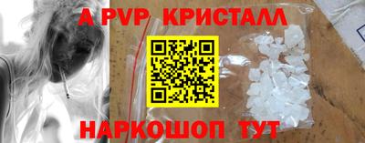 дмт Кингисепп