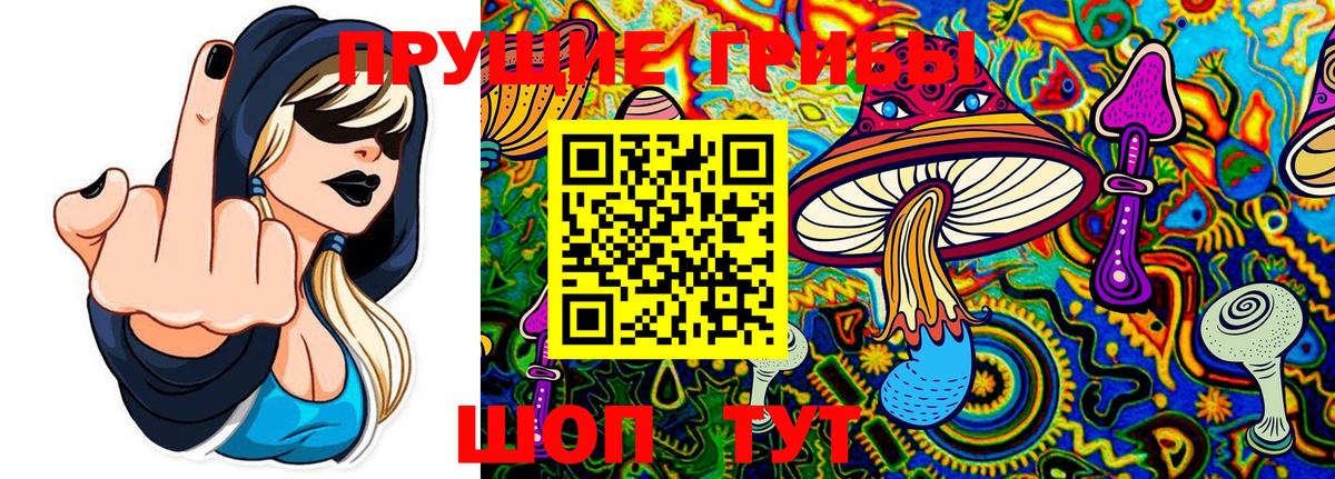 Галлюциногенные грибы Psilocybine cubensis  Вход с VPN  Красноуфимск  Псилоцибиновые грибы прущие грибы 